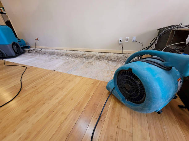 Professional Burst Pipe Water Damage technician working in Trumbull, CT